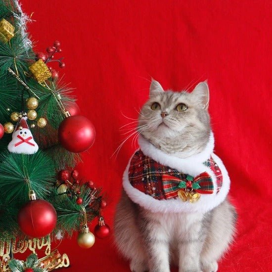 Festive Bow Collar - Always Whiskered