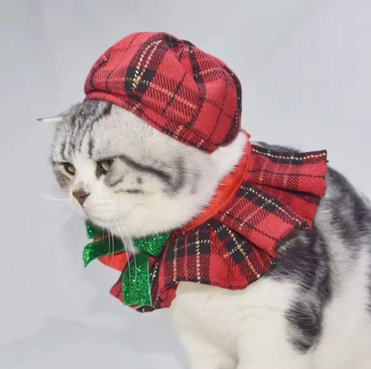 Festive Plaid Pet Set - Always Whiskered