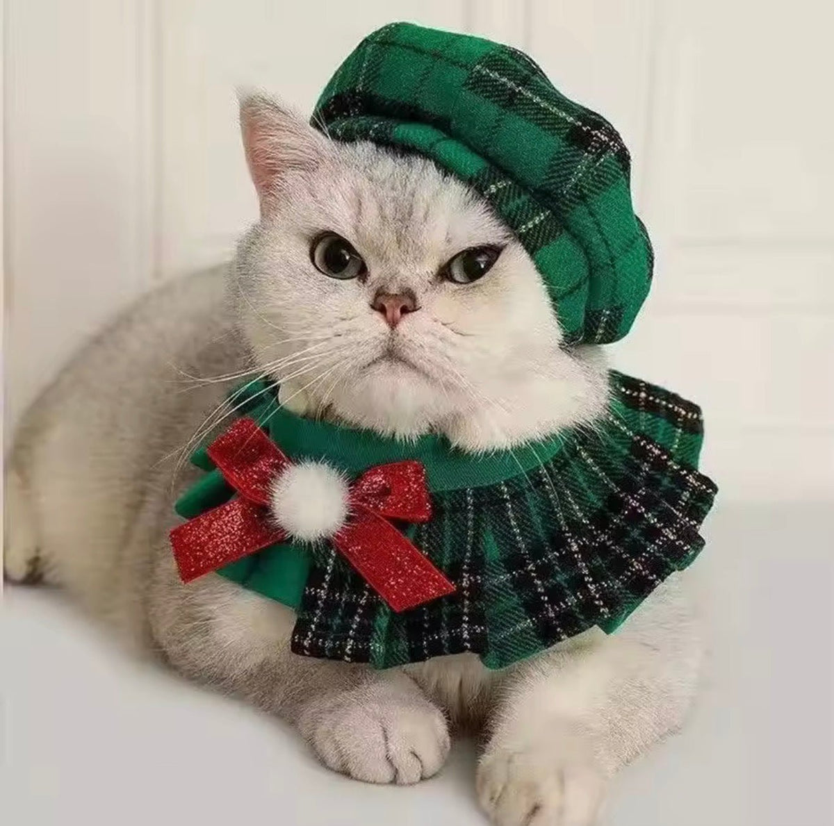 Festive Plaid Pet Set - Always Whiskered