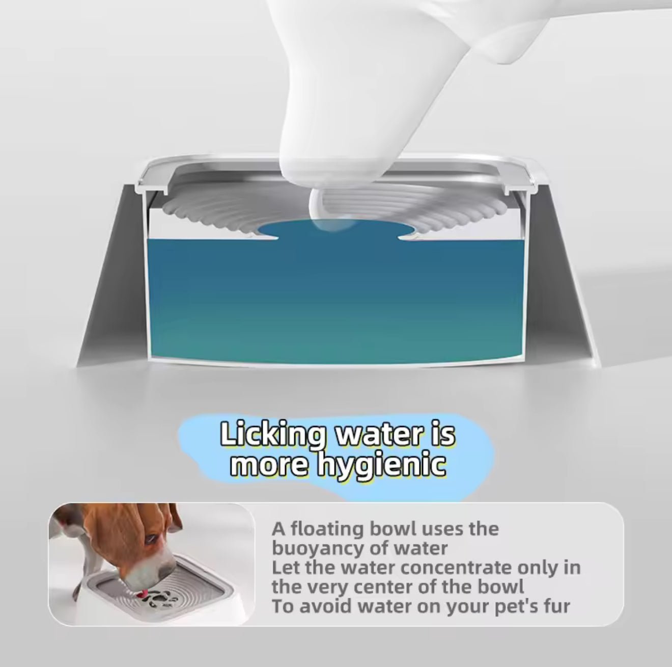 Float No - Wet - Mouth Water Bowl - Always Whiskered