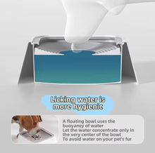 Float No - Wet - Mouth Water Bowl - Always Whiskered