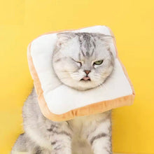 Foodilicious E Collar - Always Whiskered