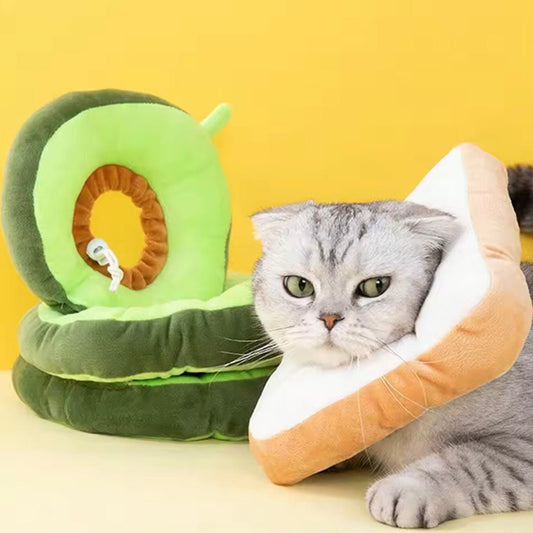Foodilicious E Collar - Always Whiskered