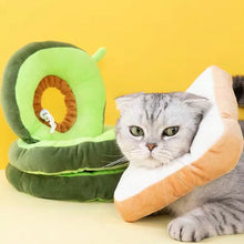 Foodilicious E Collar - Always Whiskered