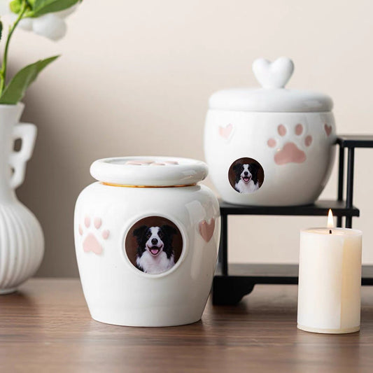 Forever in My Heart Custom Photo Pet Urn - Always Whiskered