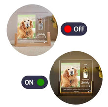 Forever Loved™ Personalized Pet Memorial Light & Fur Keepsake - Always Whiskered