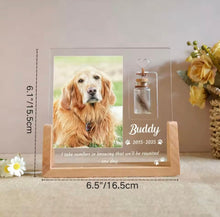 Forever Loved™ Personalized Pet Memorial Light & Fur Keepsake - Always Whiskered