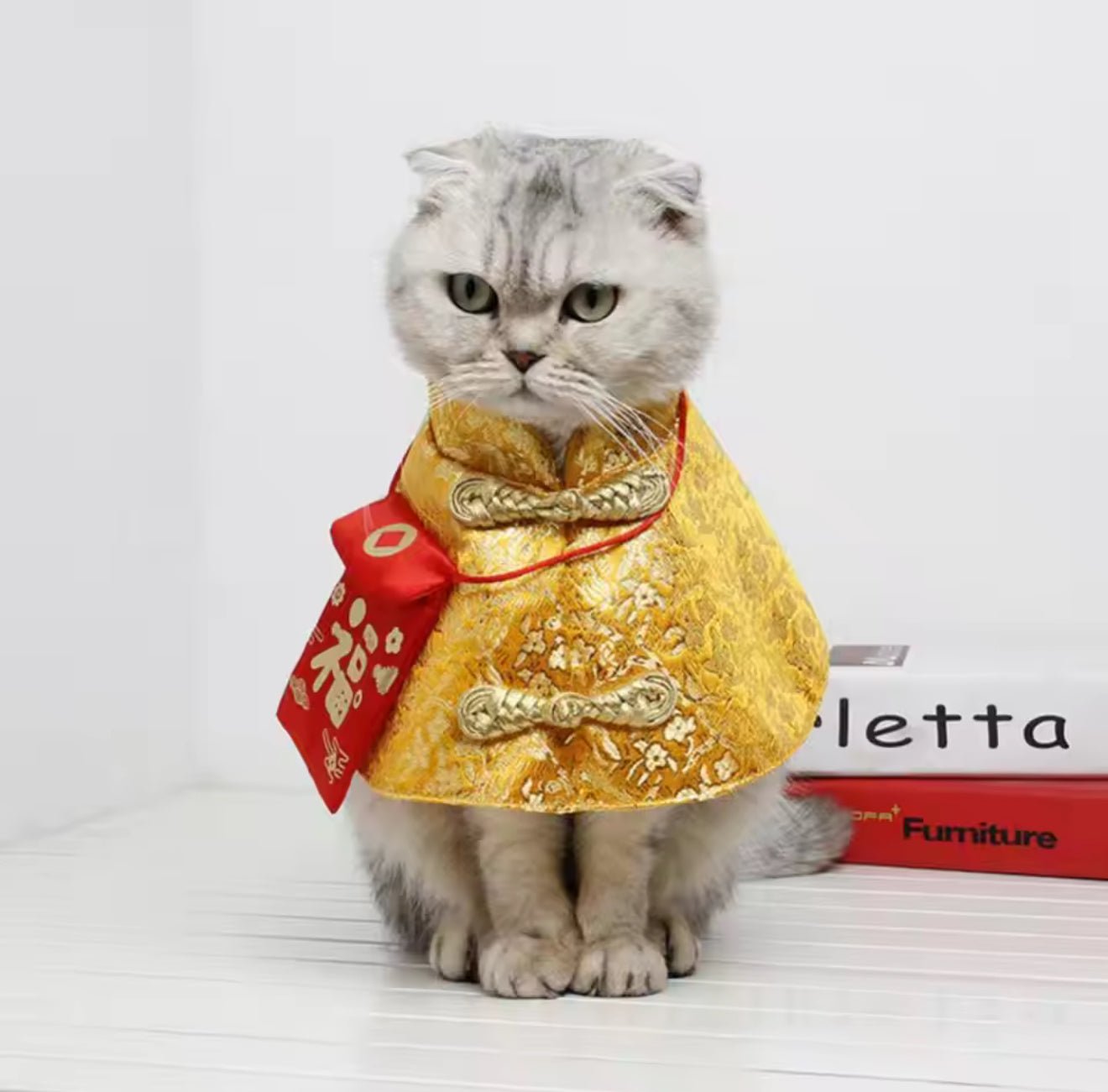 Fortune Mandarin Collar - Always Whiskered
