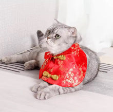 Fortune Mandarin Collar - Always Whiskered