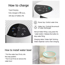 FreshSip Smart Pet Fountain - Always Whiskered