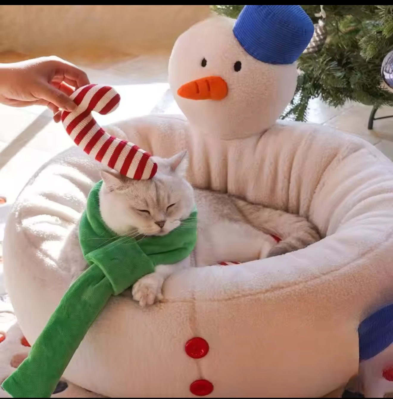 Frosty Snuggle Bed - Always Whiskered