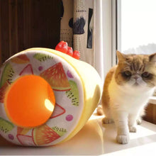 Fruit Swiss Roll Bed - Always Whiskered