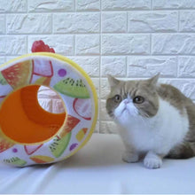 Fruit Swiss Roll Bed - Always Whiskered