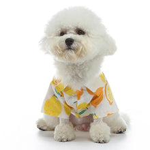 Fruity Summer Pet Shirt - Always Whiskered