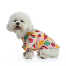 Fruity Summer Pet Shirt - Always Whiskered