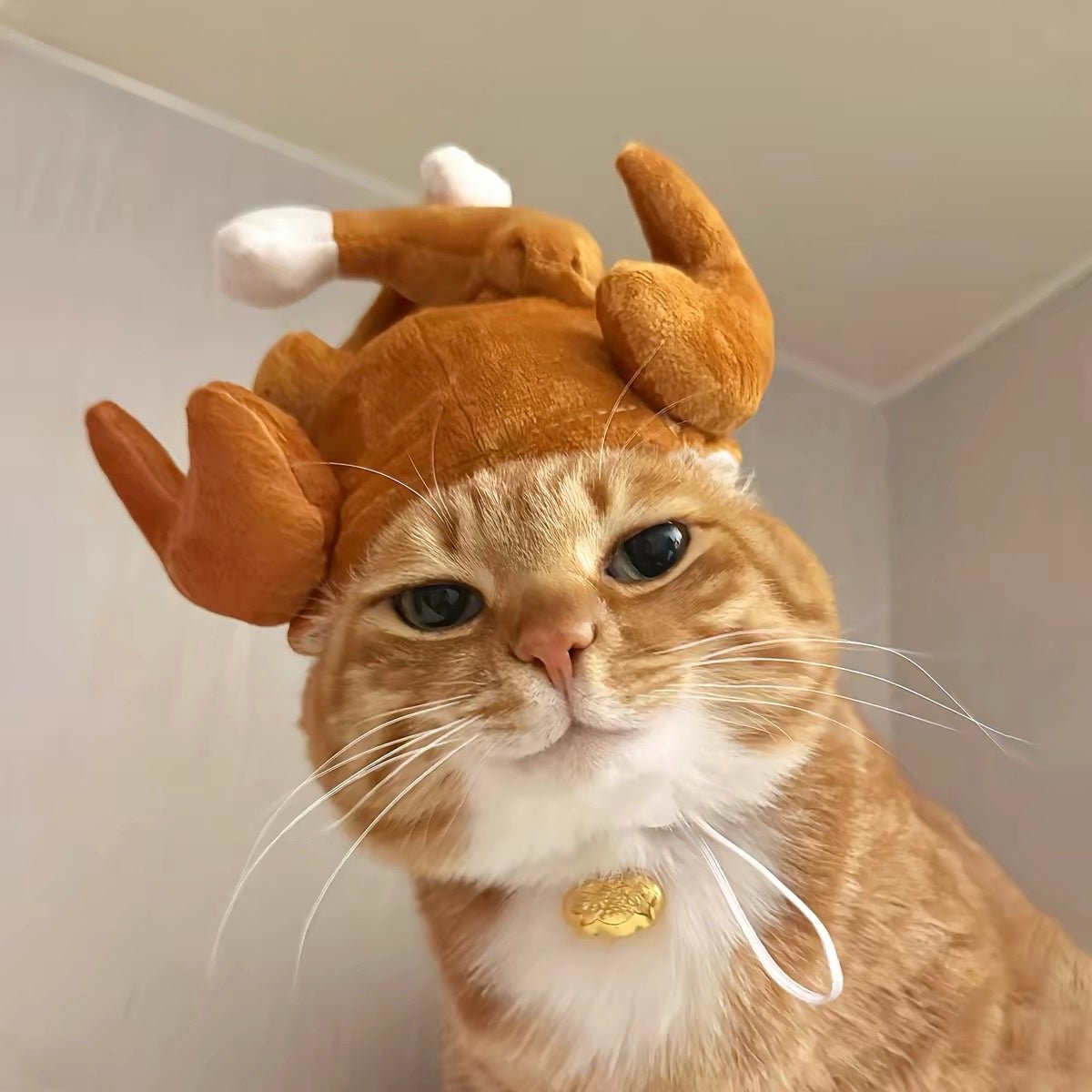 Funny Turkey Pet Hat - Always Whiskered