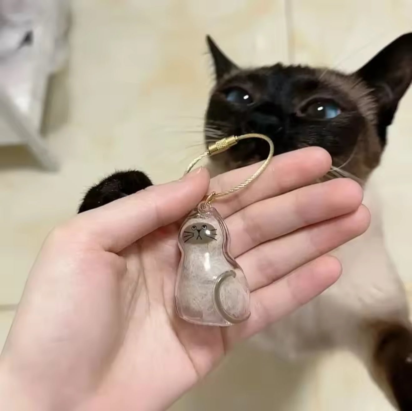 FurKeeps Charm - Always Whiskered