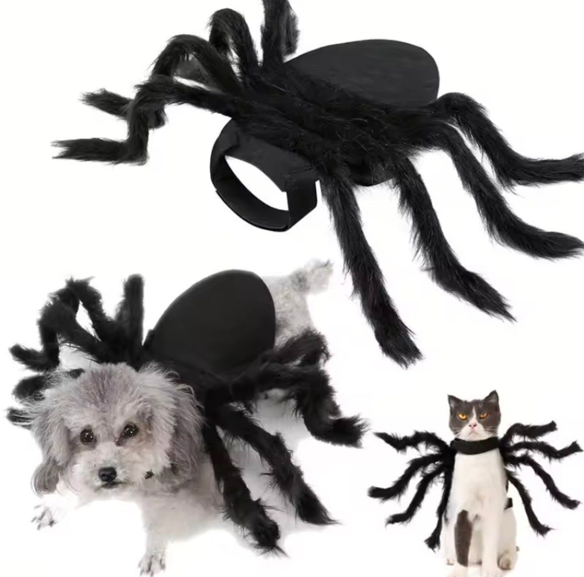 Fuzzy Spider Pet Costume - Always Whiskered