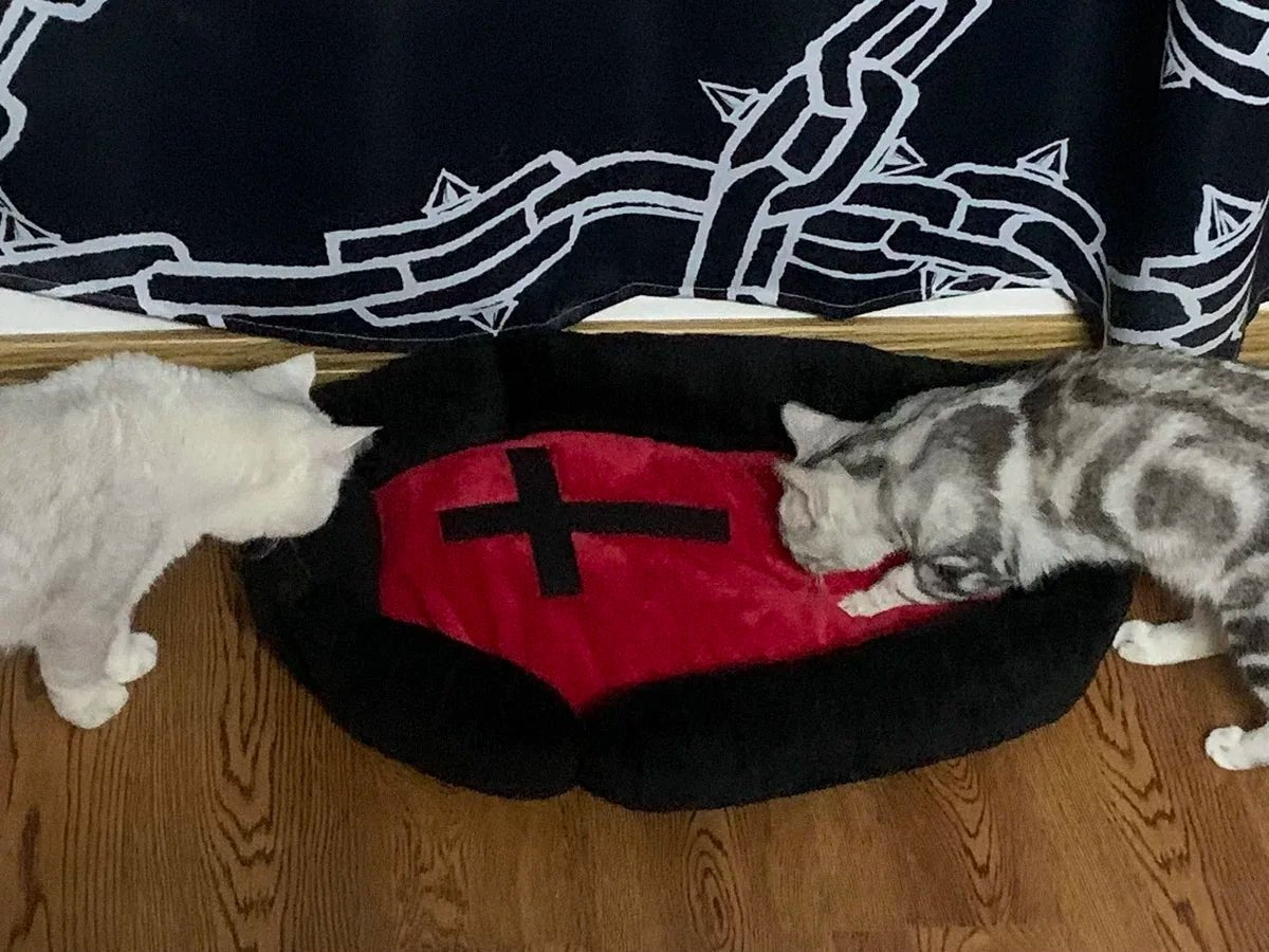 Halloween Casket Pet Bed - Always Whiskered