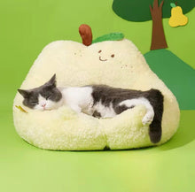 Happy Fruits Bed - Always Whiskered