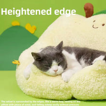 Happy Fruits Bed - Always Whiskered