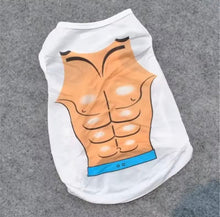 Hot Bod Pet Vest - Always Whiskered