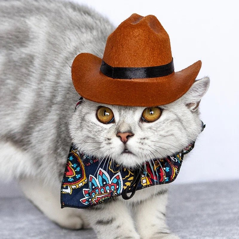 I'm A Cowboy Pet Hat - Always Whiskered