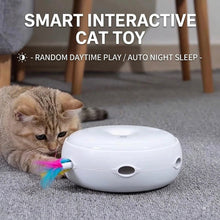 Interactive Feather Toy - Always Whiskered