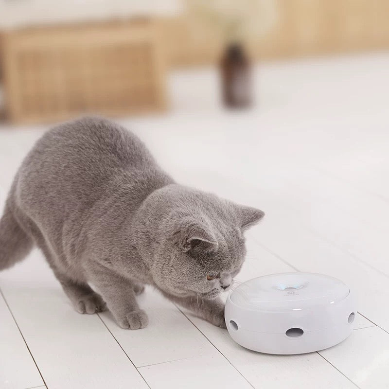 Interactive Feather Toy - Always Whiskered