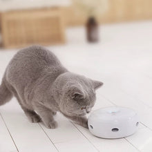 Interactive Feather Toy - Always Whiskered