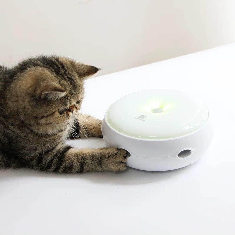Interactive Feather Toy - Always Whiskered
