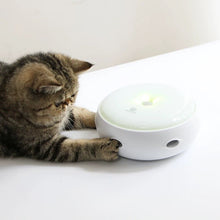 Interactive Feather Toy - Always Whiskered