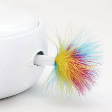 Interactive Feather Toy - Always Whiskered