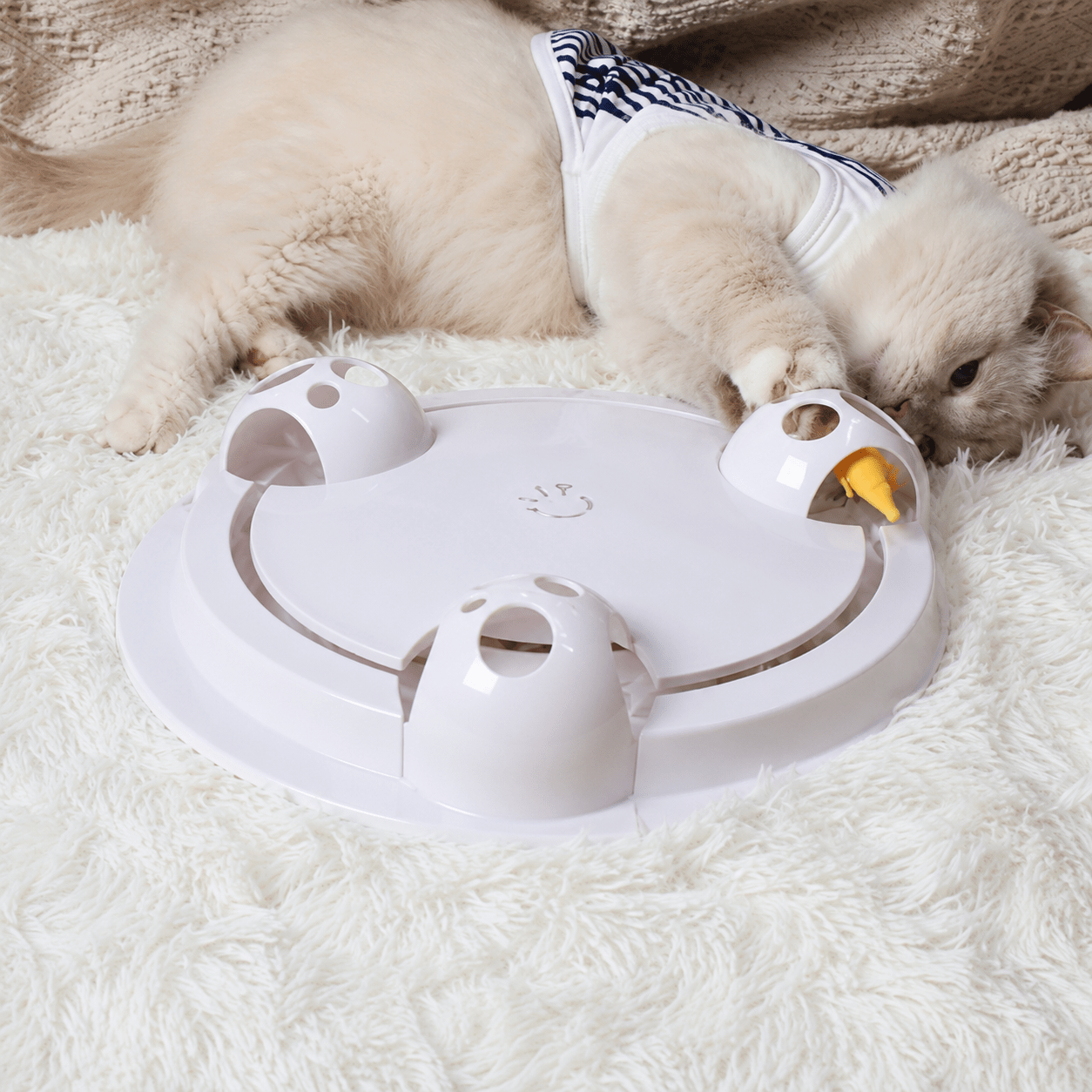Interactive Mouse Hunt - Always Whiskered
