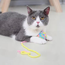 Jingle Yarn Ball Toy - Always Whiskered