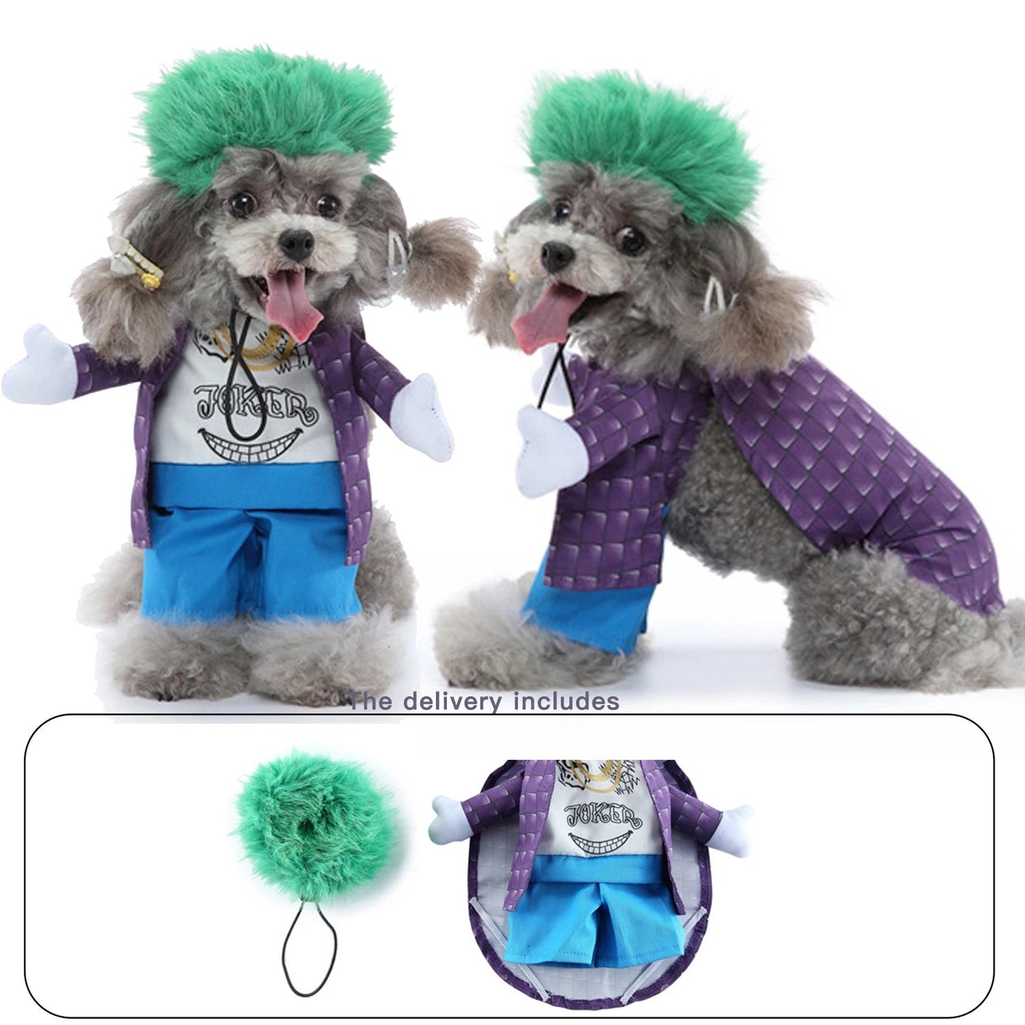 Joker Pet Costume - Always Whiskered