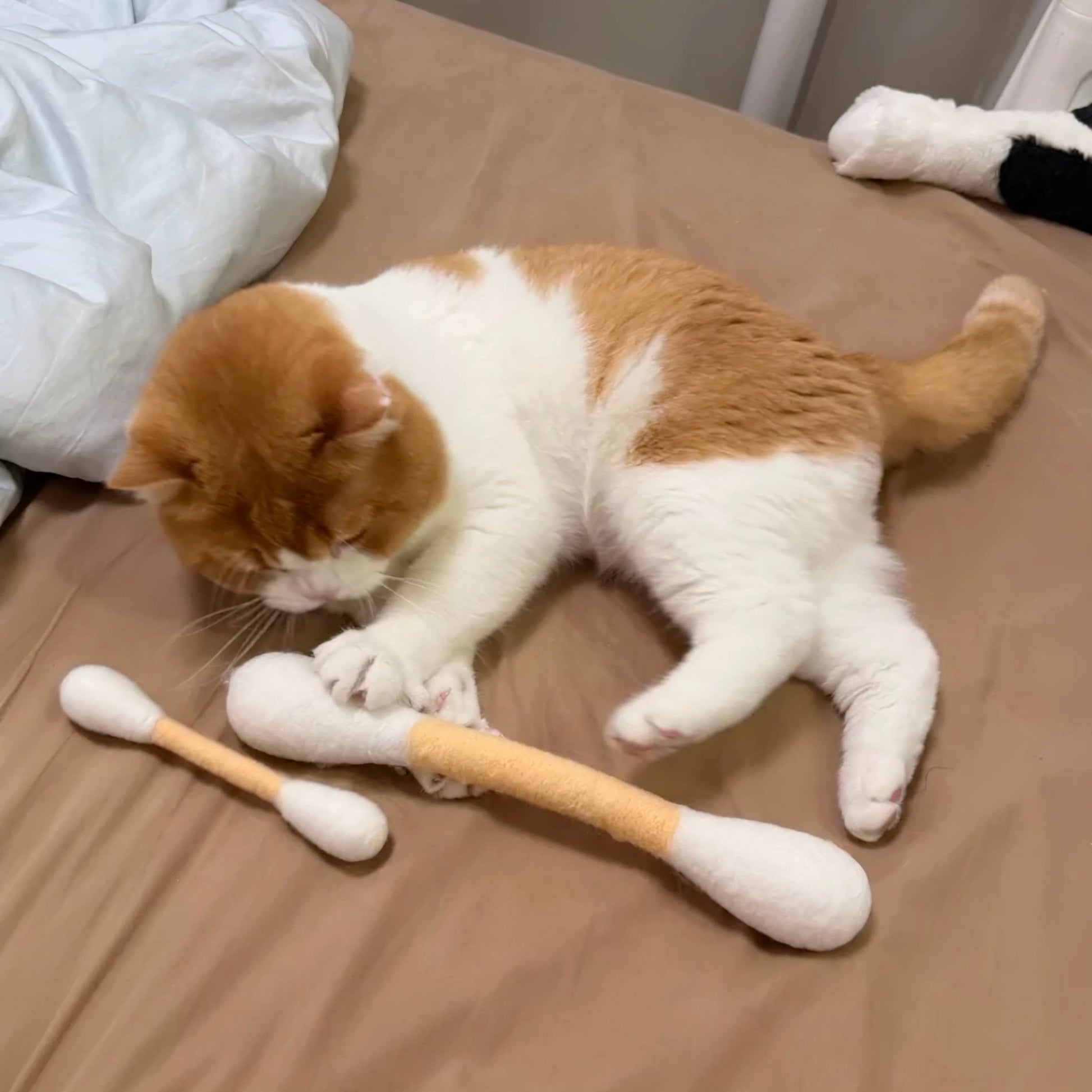 Jumbo Cotton Bud Cat Toy - Always Whiskered