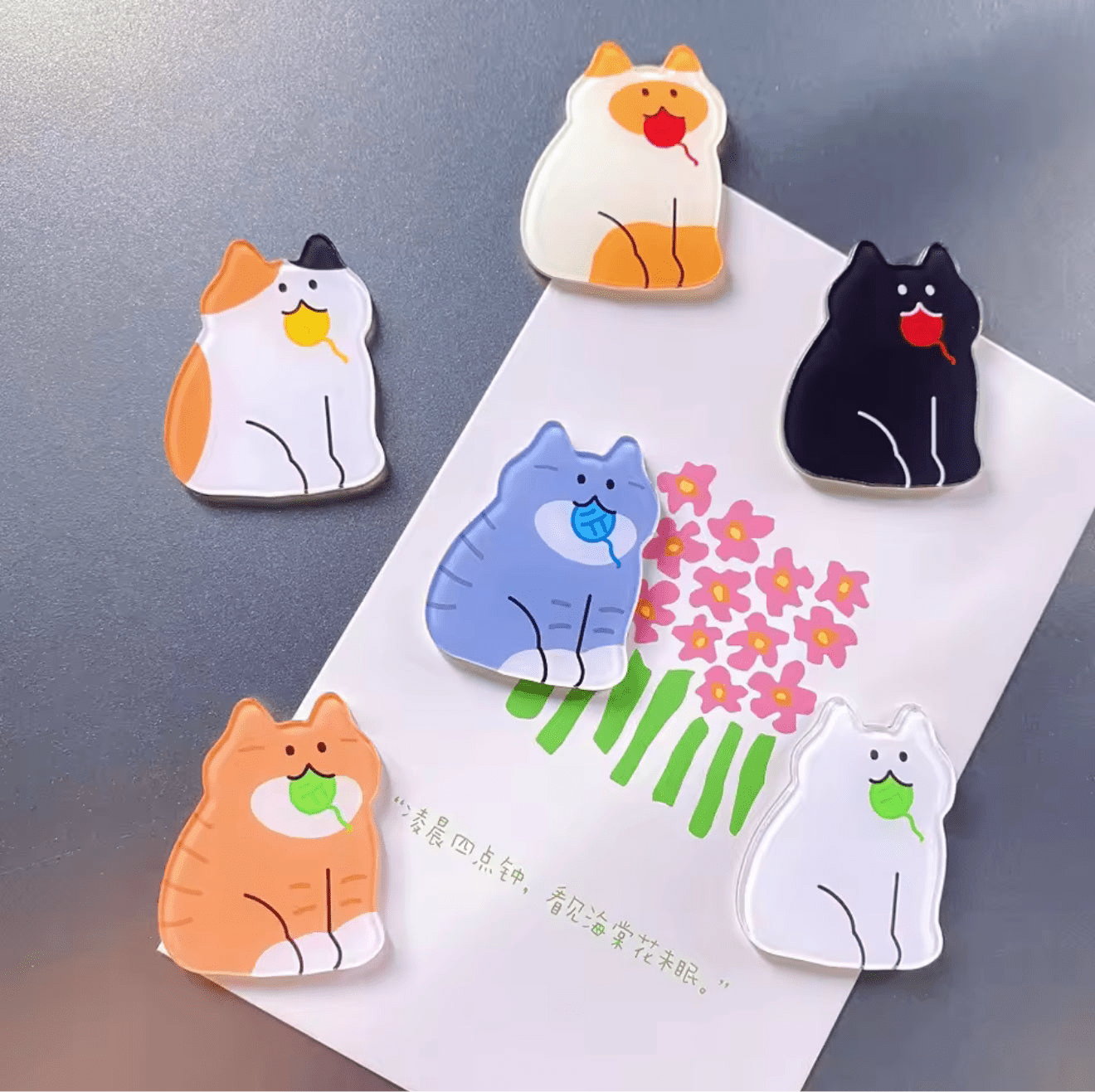 Kawaii Kitty Magnets ( 5pcs set) - Always Whiskered