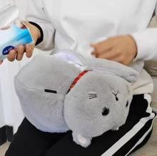 Kawaii Neko Tissue Holder - Always Whiskered