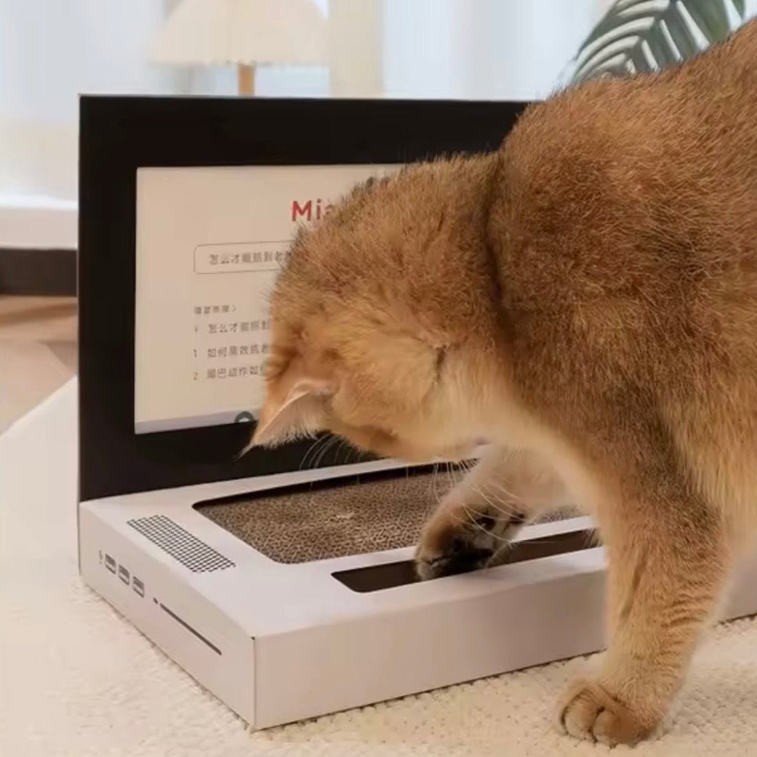 Laptop Cat Scratcher - Always Whiskered