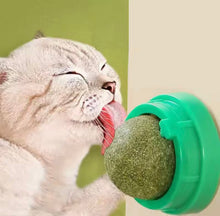 Lickety Lick Cat Treats - Always Whiskered