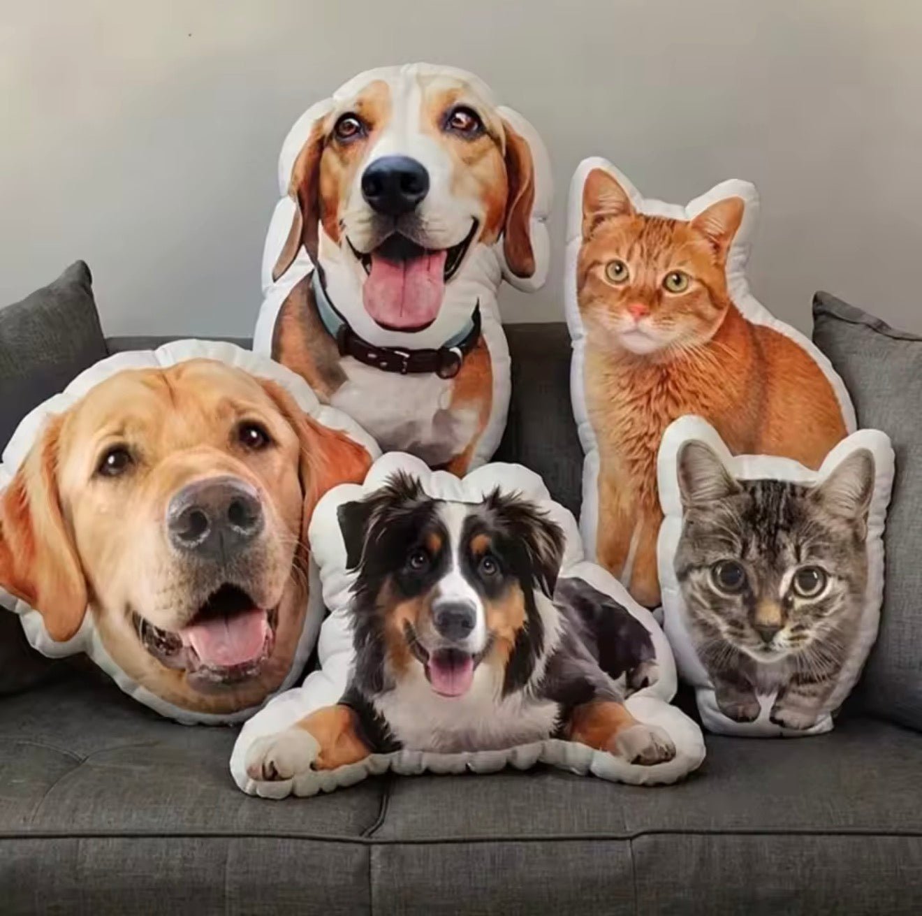 Look At Me Custom Pet Pillow - Always Whiskered