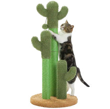 Looking Sharp Cactus Scratch Post - Always Whiskered