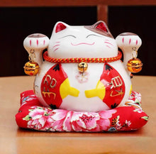 Lucky Cat Coin Bank - Always Whiskered