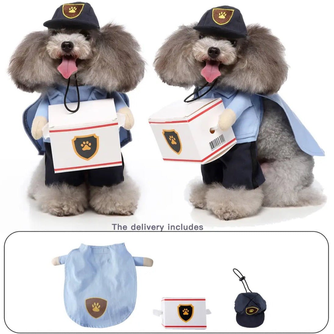Mail Carrier Costume - Always Whiskered