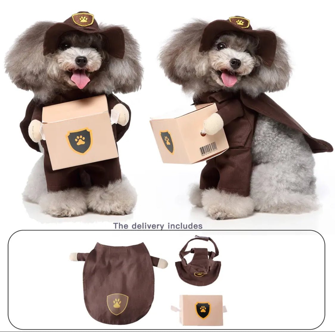 Mail Carrier Costume - Always Whiskered