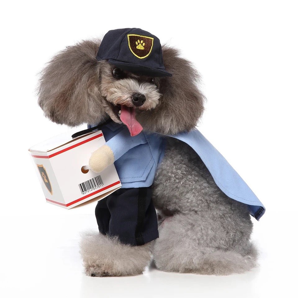 Mail Carrier Costume - Always Whiskered
