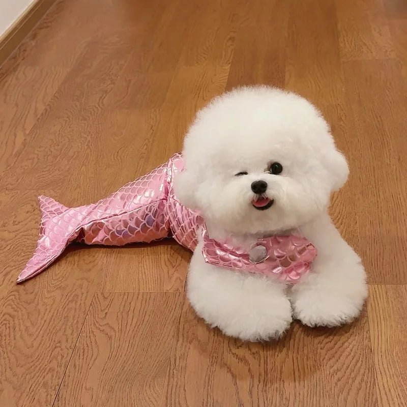 Mermaid Pet Costume - Always Whiskered