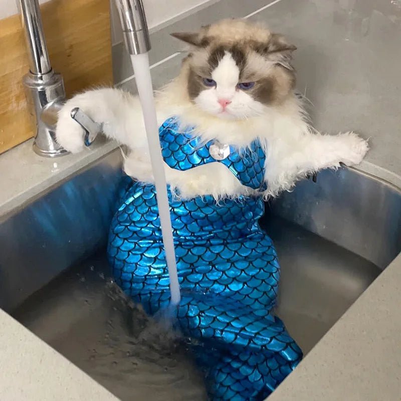 Mermaid Pet Costume - Always Whiskered