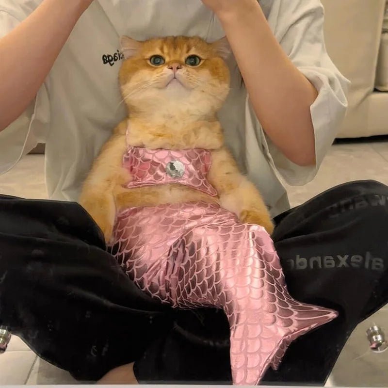Mermaid Pet Costume - Always Whiskered